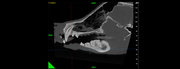 https://www.vetinare.de/media/c9/58/39/1747728481/Cone beam CT.jpg